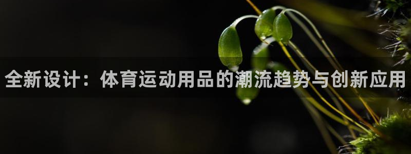 oety欧亿体育官网下载平台是正规平台吗安全吗:全新设计:体