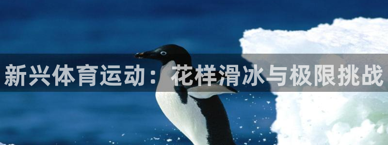欧亿体育官方正版app集团E.ON:新兴体育运动:花样滑冰与