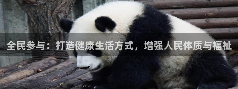 欧亿体育官方正版app娱乐网站:全民参与:打造健康生活方式,