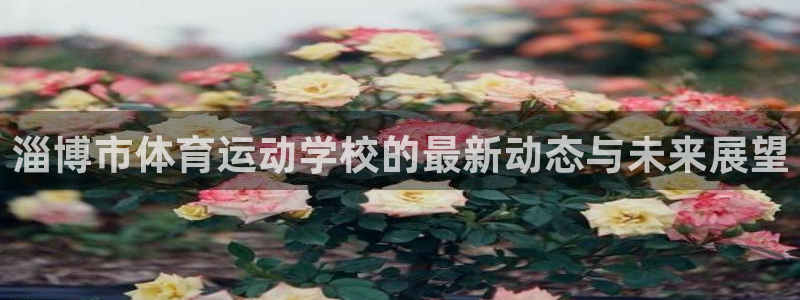 德国欧亿体育官方正版app集团:淄博市体育运动学校的最新动态